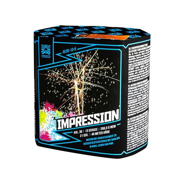 Impression - 13 Schüsser von Argento Feuerwerk