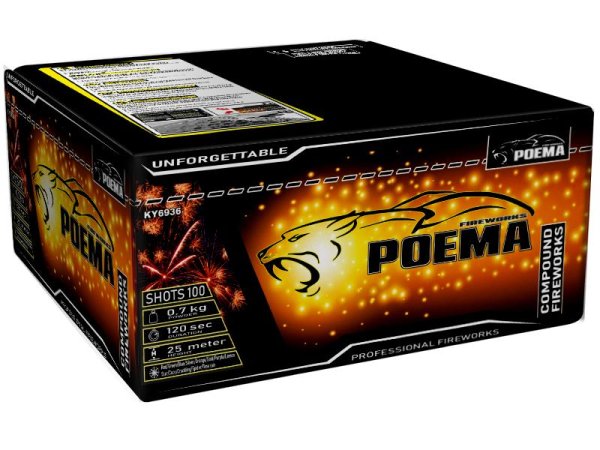 Unforgettable - 100 Schuss von Wolff Feuerwerk