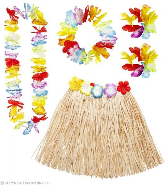 Schickes Kostüm Hawaii Set