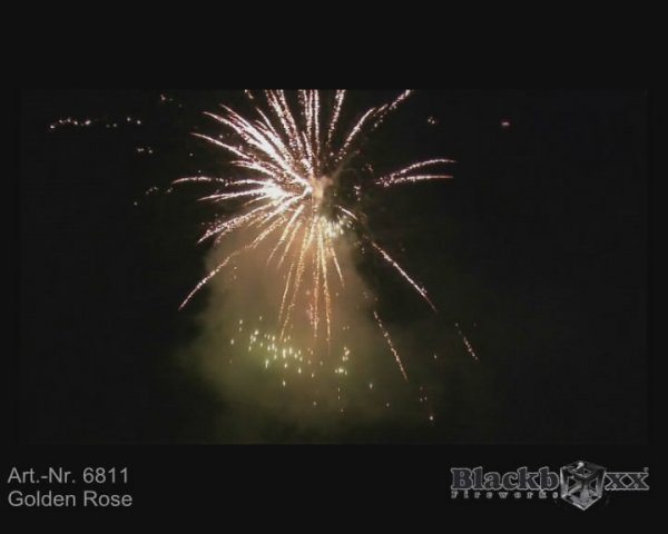 F3 Golden Rose Feuerwerk