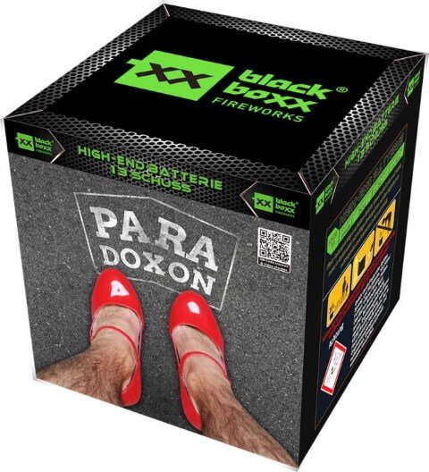 Paradoxon 13 schüsser von Blackboxx