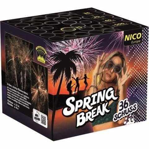 Spring Break 36 Schuss Feuerwerksbatterie mit abwechslungsreichen Effekten 