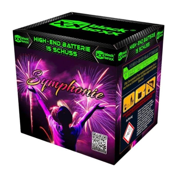 Symphonie Feuerwerk von Blackboxx