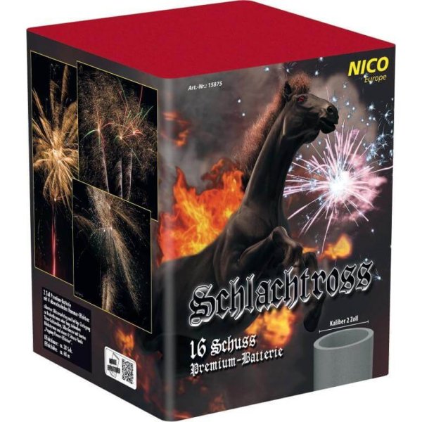 Schlachtross - 50mm F3 Feuerwerk von Nico