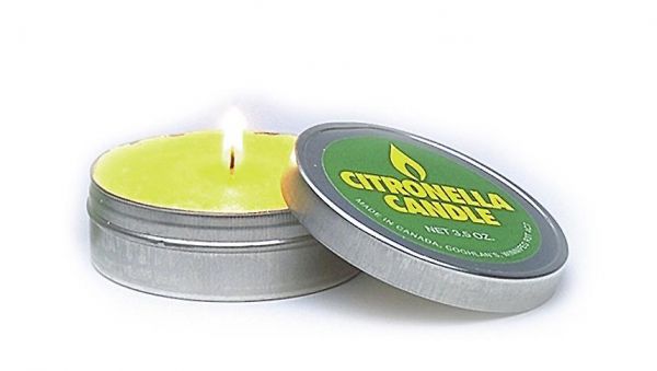 langbrennende Citronella Kerze in der Dose hält die Mücken fern