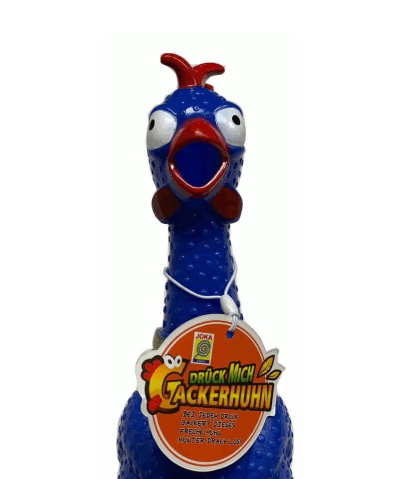 Gackerhuhn-blau