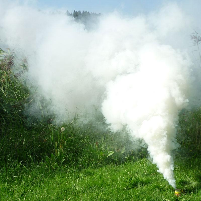 Mr-Smoke-3-Weiss