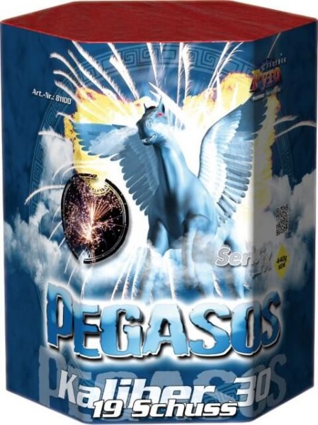 Pyrolager.de - Nico Pegasos