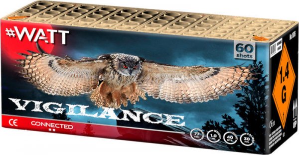 Vigilance Box - Kräftiges 60 Schuss Verbundfeuerwerk aus der #Watt Reihe