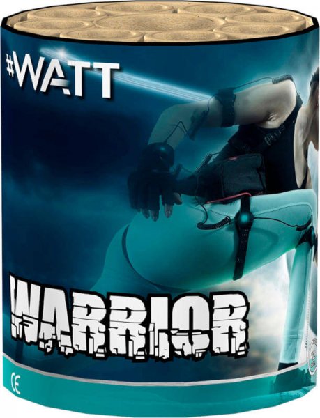 Warrior - günstiges 8 Schuss Feuerwerk der #Watt Reihe